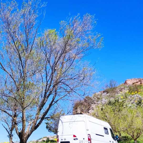 Presupuesto para viajar